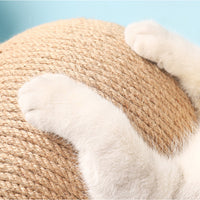 HKM-2485821 Sisal Cat Catching Ball with Wood Base for Natural Scratching and Play