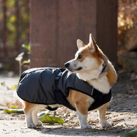 HKM-2489789 Waterproof Dog Raincoat in Black, Casual Style, Sizes S to XXXL