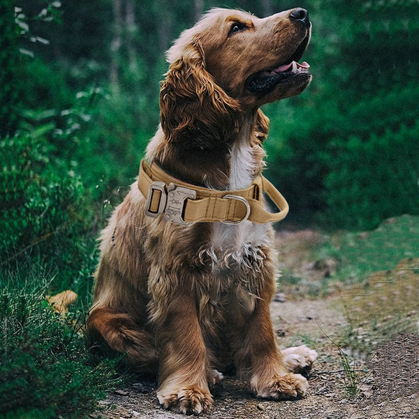 HKM-2493373 Solid Color Outdoor Pet Collar for Medium and Large Dogs with Adjustable Fit and Durable Materials