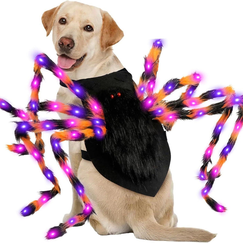 HKM-2495933 Luminous Spider Costume for Pets - Halloween Dress Up for Cats and Dogs in Multiple Sizes