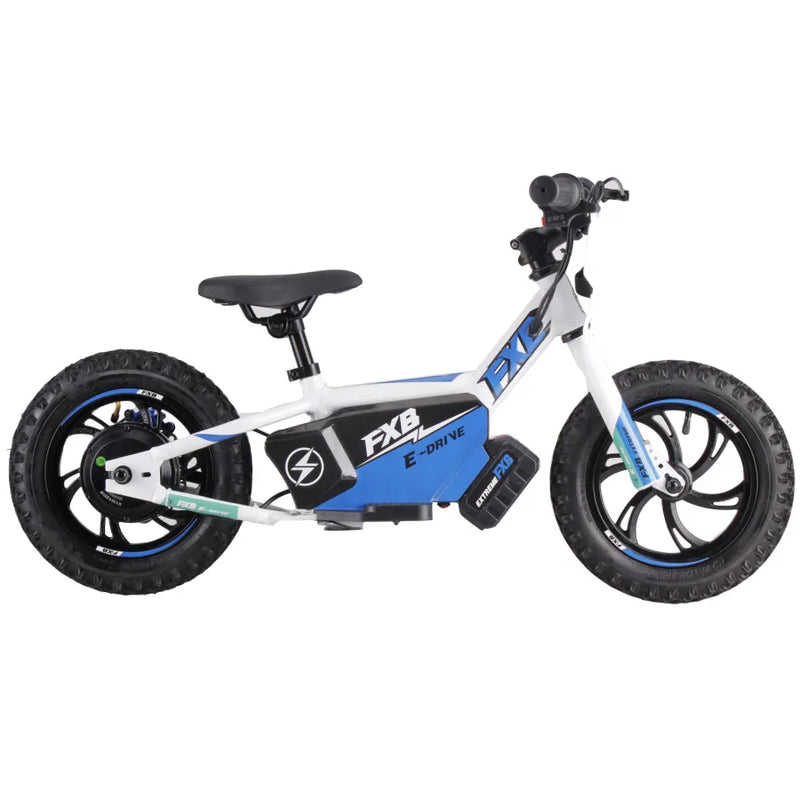 HKM-250003 12-Inch Electric Balance Bike for Kids Ages 3-6 with 36V Lithium Battery, Disc Brake, Adjustable Seat