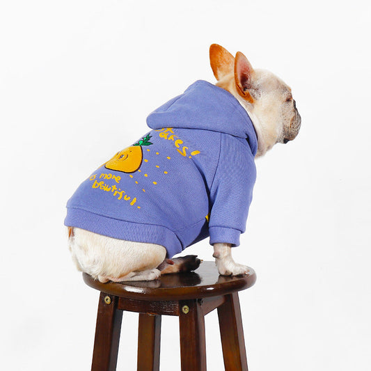 HKM-2501693 Cozy Cartoon Printed Plush Pet Hoodie in Blue and Purple for Comfortable Winter Wear