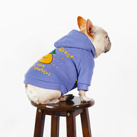 HKM-2501693 Cozy Cartoon Printed Plush Pet Hoodie in Blue and Purple for Comfortable Winter Wear