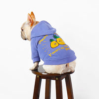 HKM-2501693 Cozy Cartoon Printed Plush Pet Hoodie in Blue and Purple for Comfortable Winter Wear