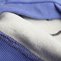 HKM-2501693 Cozy Cartoon Printed Plush Pet Hoodie in Blue and Purple for Comfortable Winter Wear