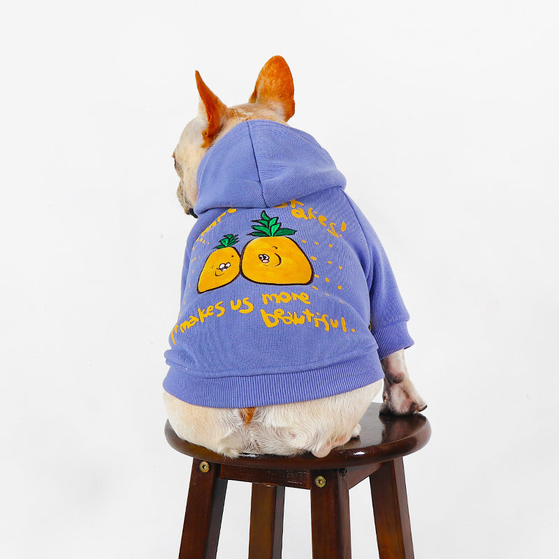 HKM-2501693 Cozy Cartoon Printed Plush Pet Hoodie in Blue and Purple for Comfortable Winter Wear