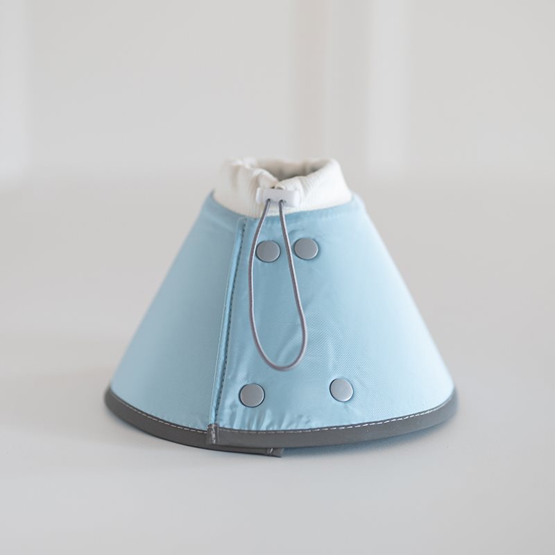 HKM-2502589 Fashionable Waterproof Pet Collar and Headgear for Dogs and Cats in Multiple Colors