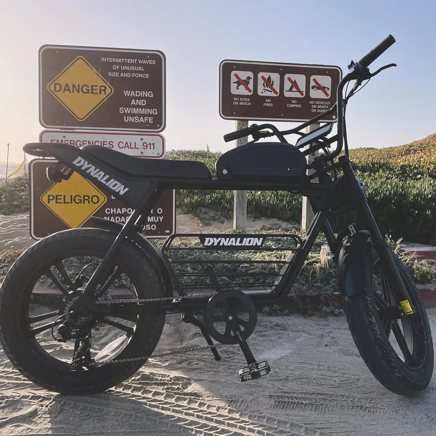 HKM-250515 48V 1000W Adult Electric Full Suspension Mountain Bike - 20 Inch, 7-Speed Gear, Lithium Battery