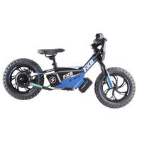HKM-251155 12-Inch Electric Balance Bike with 36V 250W Brushless Motor and Rechargeable Battery