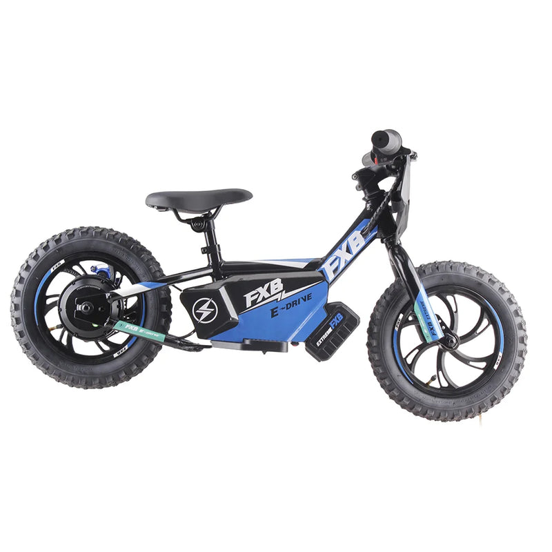 HKM-251155 12-Inch Electric Balance Bike with 36V 250W Brushless Motor and Rechargeable Battery
