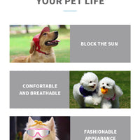 HKM-2519997 Ski Protective Goggles for Pets ¨C Double Layer, Anti-Fog, Polarized, Windproof and Sandproof