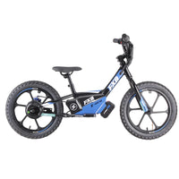 HKM-252307 350W Rear Hub Brushless Motor Electric Multi-Purpose Bike with 36V 5AH Lithium Battery and Disc Brake