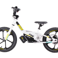 HKM-252307 350W Rear Hub Brushless Motor Electric Multi-Purpose Bike with 36V 5AH Lithium Battery and Disc Brake