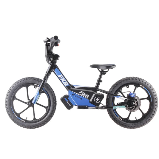 HKM-252307 350W Rear Hub Brushless Motor Electric Multi-Purpose Bike with 36V 5AH Lithium Battery and Disc Brake