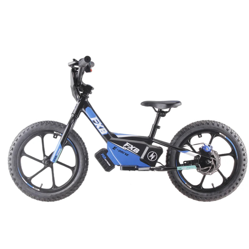 HKM-252307 350W Rear Hub Brushless Motor Electric Multi-Purpose Bike with 36V 5AH Lithium Battery and Disc Brake