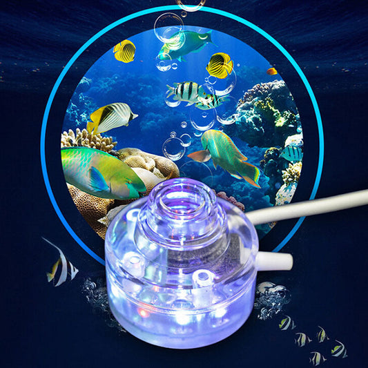 HKM-252563 Acrylic Silicone Aquarium Lamp with Moss Glue for Decorative Enhancements