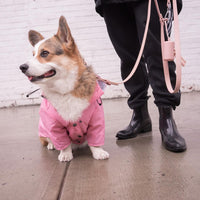HKM-2525757 Windproof Retro Padded Raincoat for Dogs in Yellow, Pink, Red, Dark Blue - Multiple Sizes Available