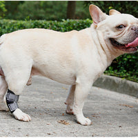 HKM-2530749 Dog Leg Recovery Cover - Neoprene Protective Wrap, Black, Multiple Sizes Available