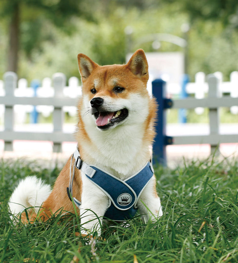 HKM-2537149 Adjustable Reflective Mesh Dog and Cat Harness Vest with Chest Strap for Small to Large Pets - Includes Leash
