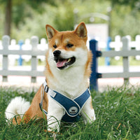 HKM-2537149 Adjustable Reflective Mesh Dog and Cat Harness Vest with Chest Strap for Small to Large Pets - Includes Leash