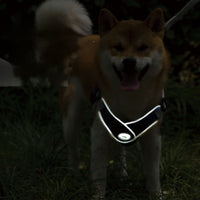 HKM-2537149 Adjustable Reflective Mesh Dog and Cat Harness Vest with Chest Strap for Small to Large Pets - Includes Leash