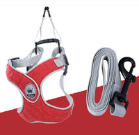 HKM-2537149 Adjustable Reflective Mesh Dog and Cat Harness Vest with Chest Strap for Small to Large Pets - Includes Leash