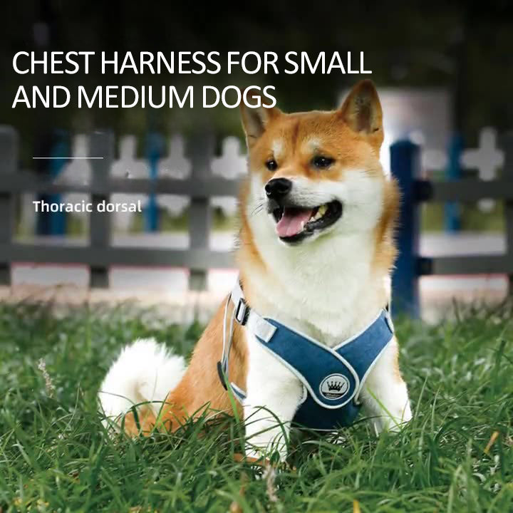 HKM-2537149 Adjustable Reflective Mesh Dog and Cat Harness Vest with Chest Strap for Small to Large Pets - Includes Leash