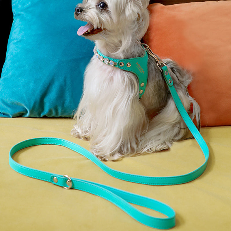 HKM-2539453 Adjustable Dog and Cat Harness with Leash in Rainbow Pink, Turquoise Green, and Sky Blue PU Leather with Rhinestones