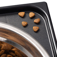HKM-2539837 Elevated Anti-Tumble Feeding Bowl with Neck Protection for Medium to Large Dogs