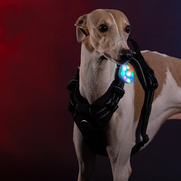 HKM-2541629 Colorful Waterproof LED Navigation Light for Pets ¨C Rechargeable Lithium Battery, High Brightness