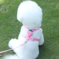 HKM-2545213 Reflective Vest-style Harness with Leash for Small Dogs in Carrot, Strawberry, and Avocado Colors
