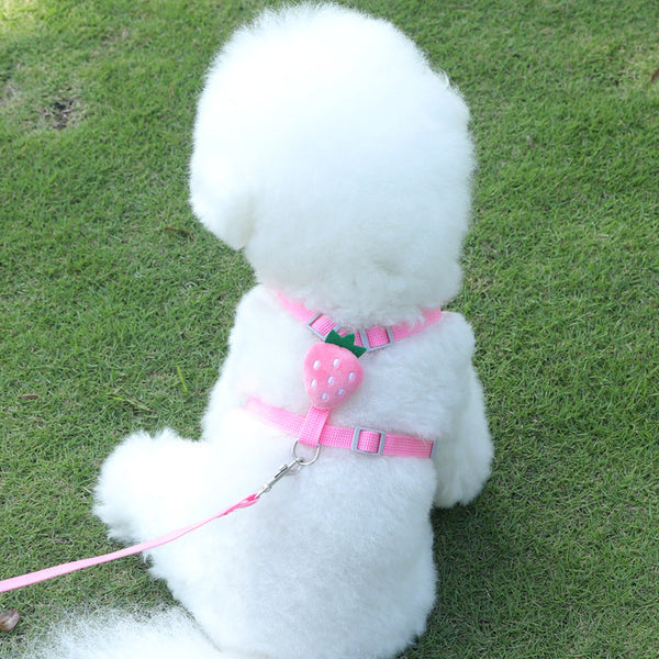 HKM-2545213 Reflective Vest-style Harness with Leash for Small Dogs in Carrot, Strawberry, and Avocado Colors