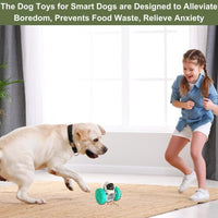HKM-2552637 Interactive Food Dispenser Toy for Small Dogs and Cats - Durable Slow Feeder Puzzle for Problem-Solving and Weight Management