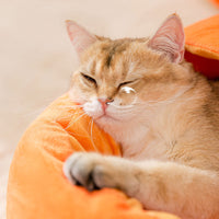HKM-2555197 Carrot-shaped Soft Semi-closed Cat Nest for Cats up to 15 lbs - Washable, Non-slip Design