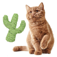 HKM-2559549 Durable Cat Toy - Green Cactus Design Made of Wired Paper for Fun and Exercise