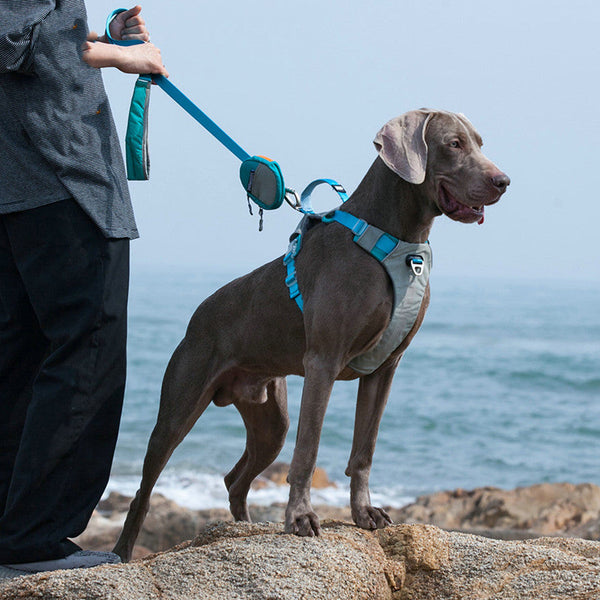 HKM-2560189 Adjustable Nylon Chest Strap and Leash Storage Bag for Pets - Available in Multiple Sizes and Colors