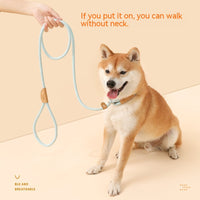 HKM-2560701 Hand-Held Nylon Leash for Dogs - Multiple Color Options Available