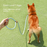 HKM-2560701 Hand-Held Nylon Leash for Dogs - Multiple Color Options Available