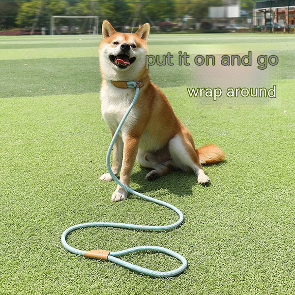 HKM-2560701 Hand-Held Nylon Leash for Dogs - Multiple Color Options Available