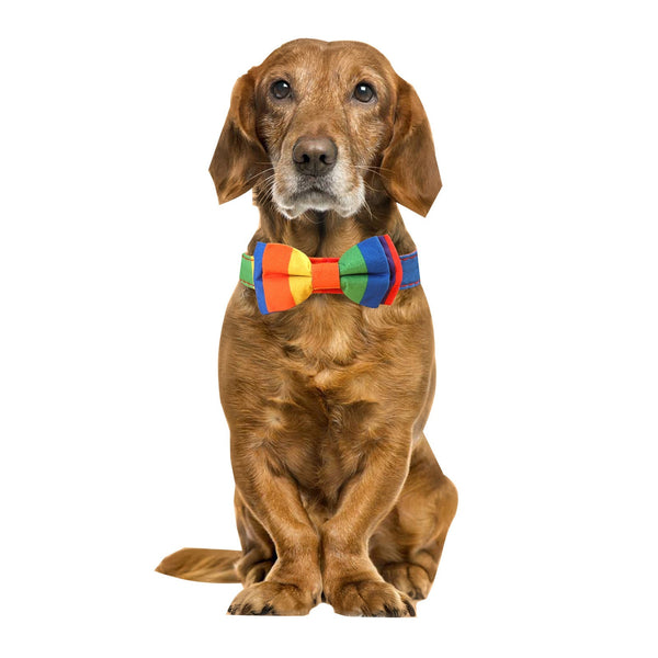 HKM-2564669 Rainbow Bow Tie Pet Collar for Cats and Dogs, Leisure Style, Multiple Sizes Available