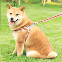 HKM-2565949 Reflective Polyester Chest Harness for Small and Medium Pets in Blue, Red, Pink