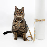 HKM-2572221 Bright Color Non-Stretch Cat and Dog Traction Rope with Adjustable Collar