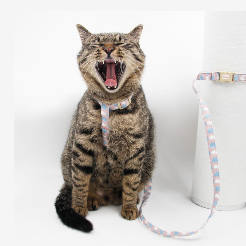 HKM-2572221 Bright Color Non-Stretch Cat and Dog Traction Rope with Adjustable Collar