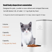 HKM-2578365 Large-Capacity Detachable Bowl Pet Water Feeder with 3.8L Water Storage and 2.1kg Dry Food Capacity