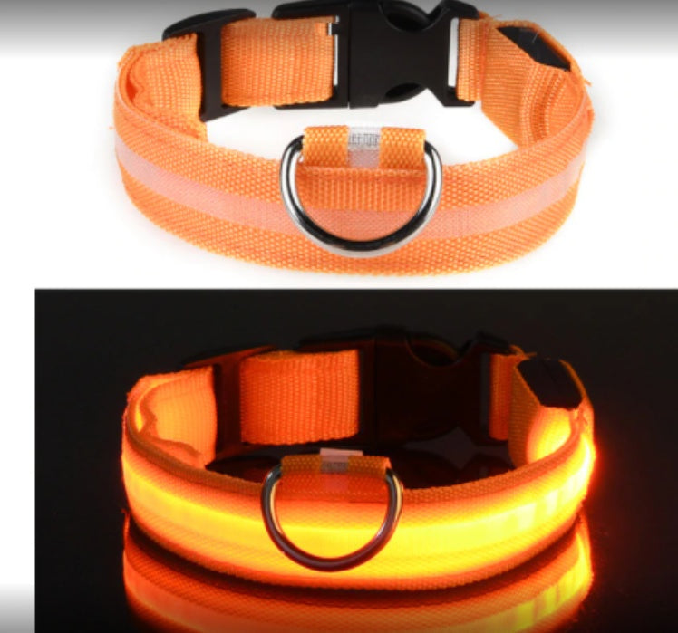 HKM-2580157 Waterproof Fiber Optic Magnetic Charging Pet Collar with Reflective Safety Modes