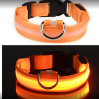 HKM-2580157 Waterproof Fiber Optic Magnetic Charging Pet Collar with Reflective Safety Modes