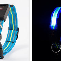 HKM-2580157 Waterproof Fiber Optic Magnetic Charging Pet Collar with Reflective Safety Modes