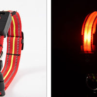 HKM-2580157 Waterproof Fiber Optic Magnetic Charging Pet Collar with Reflective Safety Modes