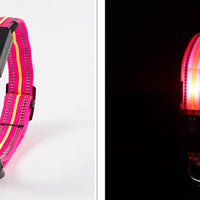 HKM-2580157 Waterproof Fiber Optic Magnetic Charging Pet Collar with Reflective Safety Modes