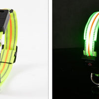 HKM-2580157 Waterproof Fiber Optic Magnetic Charging Pet Collar with Reflective Safety Modes